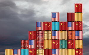 Tariffs, Reparation and Income Inequality