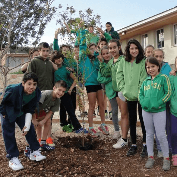 Children standing around a pomegranate tree planting.