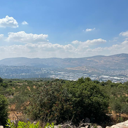 Galilee