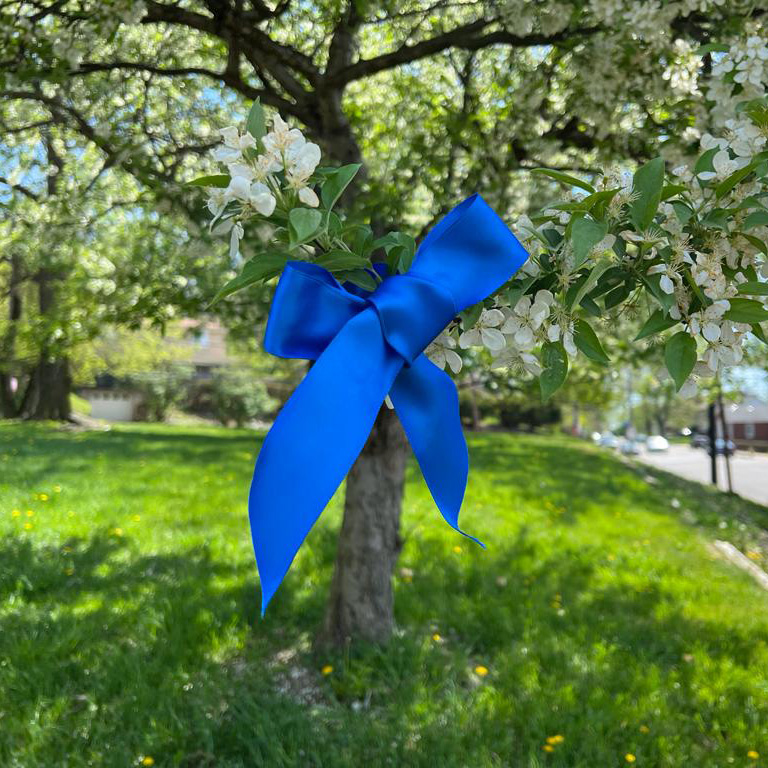 blue ribbon of solidarity with families of victims of 10-27 shooting