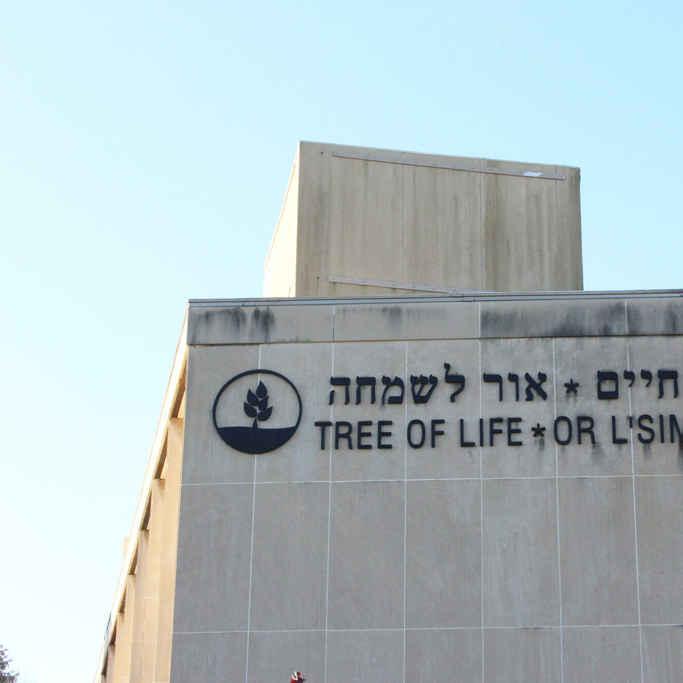 Tree of Life - Or LSimcha